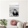 Picture of Lion Stare _GroupedProduct_Rectangle_Portrait_Photography _GroupedProduct_Rectangle_Portrait_Unframed_Print_Only_