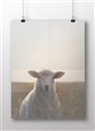 Picture of Grazing Sheep  _GroupedProduct_Rectangle_Landscape_Photography _GroupedProduct_Rectangle_Landscape_Unframed_Print_Only_