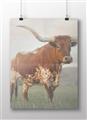 Picture of Life of a Bull _GroupedProduct_Rectangle_Landscape_Photography _GroupedProduct_Rectangle_Landscape_Unframed_Print_Only_