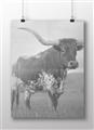 Picture of Life of a Bull _GroupedProduct_Rectangle_Landscape_Photography _GroupedProduct_Rectangle_Landscape_Unframed_Print_Only_