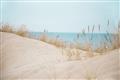 Picture of Sandy Beach  _GroupedProduct_Rectangle_Landscape_Photography _GroupedProduct_Rectangle_Landscape_Unframed_Print_Only_