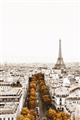 Picture of Touch of Mustard in Paris _GroupedProduct_Rectangle_Portrait_Photography _GroupedProduct_Rectangle_Portrait_Unframed_Print_Only_