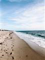 Picture of Walking the Shoreline  _GroupedProduct_Rectangle_Portrait_Photography _GroupedProduct_Rectangle_Portrait_Unframed_Print_Only_