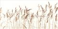 Picture of Wheat in the Wind IV _GroupedProduct_Rectangle_Landscape_Photography _GroupedProduct_Rectangle_Landscape_Unframed_Print_Only_
