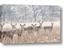 Picture of Oh Deer