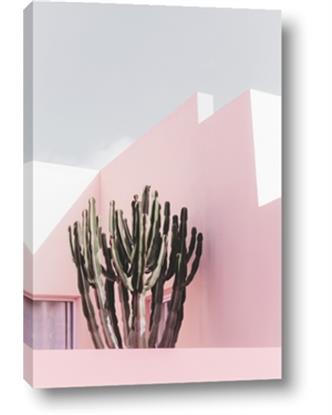 Picture of Pink Cactus II