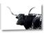 Picture of Spotted Bull