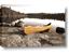 Picture of Yellow Canoe
