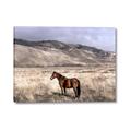 Picture of Lone Horse  _GroupedProduct_Rectangle_Landscape_Photography _GroupedProduct_Rectangle_Landscape_Canvas_