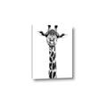 Picture of Long Neck II _GroupedProduct_Rectangle_Portrait_Photography _GroupedProduct_Rectangle_Portrait_Canvas_