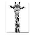 Picture of Long Neck II _GroupedProduct_Rectangle_Portrait_Photography _GroupedProduct_Rectangle_Portrait_Canvas_