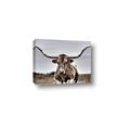 Picture of Longhorn Bull _GroupedProduct_Rectangle_Landscape_Photography _GroupedProduct_Rectangle_Landscape_Canvas_