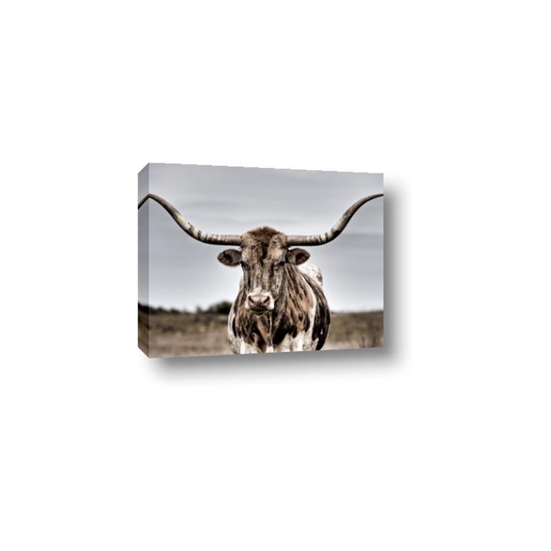 Picture of Longhorn Bull _GroupedProduct_Rectangle_Landscape_Photography _GroupedProduct_Rectangle_Landscape_Canvas_
