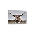 Picture of Longhorn Bull _GroupedProduct_Rectangle_Landscape_Photography _GroupedProduct_Rectangle_Landscape_Canvas_