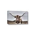 Picture of Longhorn Bull _GroupedProduct_Rectangle_Landscape_Photography _GroupedProduct_Rectangle_Landscape_Canvas_