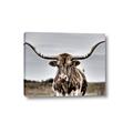 Picture of Longhorn Bull _GroupedProduct_Rectangle_Landscape_Photography _GroupedProduct_Rectangle_Landscape_Canvas_
