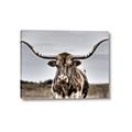 Picture of Longhorn Bull _GroupedProduct_Rectangle_Landscape_Photography _GroupedProduct_Rectangle_Landscape_Canvas_
