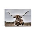 Picture of Longhorn Bull _GroupedProduct_Rectangle_Landscape_Photography _GroupedProduct_Rectangle_Landscape_Canvas_