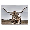 Picture of Longhorn Bull _GroupedProduct_Rectangle_Landscape_Photography _GroupedProduct_Rectangle_Landscape_Canvas_