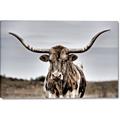 Picture of Longhorn Bull _GroupedProduct_Rectangle_Landscape_Photography _GroupedProduct_Rectangle_Landscape_Canvas_
