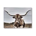 Picture of Longhorn Bull _GroupedProduct_Rectangle_Landscape_Photography _GroupedProduct_Rectangle_Landscape_Canvas_