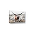 Picture of Longhorn Bull II _GroupedProduct_Rectangle_Landscape_Photography _GroupedProduct_Rectangle_Landscape_Canvas_