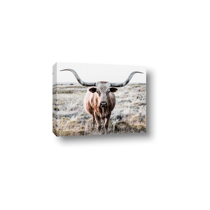 Picture of Longhorn Bull II _GroupedProduct_Rectangle_Landscape_Photography _GroupedProduct_Rectangle_Landscape_Canvas_