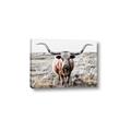 Picture of Longhorn Bull II _GroupedProduct_Rectangle_Landscape_Photography _GroupedProduct_Rectangle_Landscape_Canvas_