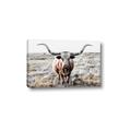 Picture of Longhorn Bull II _GroupedProduct_Rectangle_Landscape_Photography _GroupedProduct_Rectangle_Landscape_Canvas_