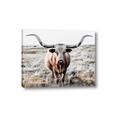Picture of Longhorn Bull II _GroupedProduct_Rectangle_Landscape_Photography _GroupedProduct_Rectangle_Landscape_Canvas_