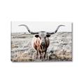 Picture of Longhorn Bull II _GroupedProduct_Rectangle_Landscape_Photography _GroupedProduct_Rectangle_Landscape_Canvas_