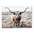 Picture of Longhorn Bull II _GroupedProduct_Rectangle_Landscape_Photography _GroupedProduct_Rectangle_Landscape_Canvas_