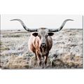 Picture of Longhorn Bull II _GroupedProduct_Rectangle_Landscape_Photography _GroupedProduct_Rectangle_Landscape_Canvas_