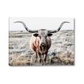 Picture of Longhorn Bull II _GroupedProduct_Rectangle_Landscape_Photography _GroupedProduct_Rectangle_Landscape_Canvas_