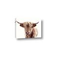 Picture of Maggie, the Cow  _GroupedProduct_Rectangle_Landscape_Photography _GroupedProduct_Rectangle_Landscape_Canvas_