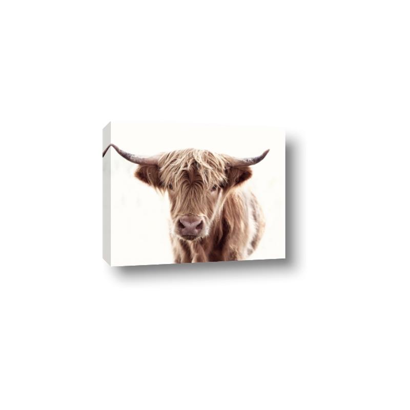 Picture of Maggie, the Cow  _GroupedProduct_Rectangle_Landscape_Photography _GroupedProduct_Rectangle_Landscape_Canvas_