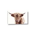 Picture of Maggie, the Cow  _GroupedProduct_Rectangle_Landscape_Photography _GroupedProduct_Rectangle_Landscape_Canvas_