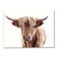 Picture of Maggie, the Cow  _GroupedProduct_Rectangle_Landscape_Photography _GroupedProduct_Rectangle_Landscape_Canvas_