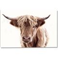 Picture of Maggie, the Cow  _GroupedProduct_Rectangle_Landscape_Photography _GroupedProduct_Rectangle_Landscape_Canvas_