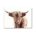 Picture of Maggie, the Cow  _GroupedProduct_Rectangle_Landscape_Photography _GroupedProduct_Rectangle_Landscape_Canvas_