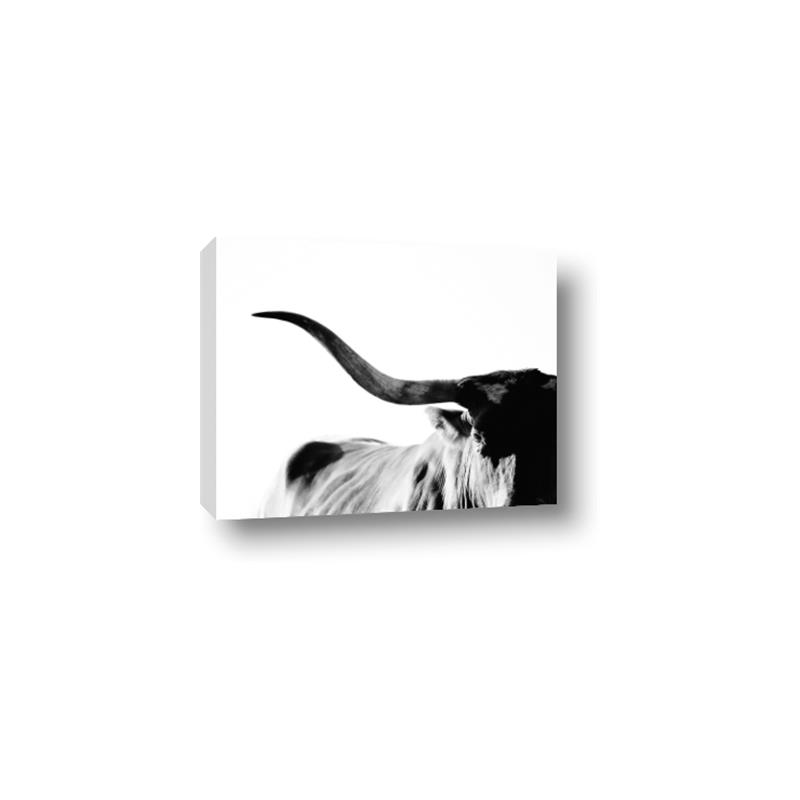 Picture of Max, the Bull _GroupedProduct_Rectangle_Landscape_Photography _GroupedProduct_Rectangle_Landscape_Canvas_