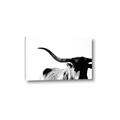 Picture of Max, the Bull _GroupedProduct_Rectangle_Landscape_Photography _GroupedProduct_Rectangle_Landscape_Canvas_