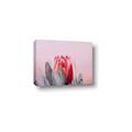 Picture of Mid Bloom _GroupedProduct_Rectangle_Landscape_Photography _GroupedProduct_Rectangle_Landscape_Canvas_