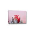 Picture of Mid Bloom _GroupedProduct_Rectangle_Landscape_Photography _GroupedProduct_Rectangle_Landscape_Canvas_