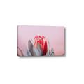 Picture of Mid Bloom _GroupedProduct_Rectangle_Landscape_Photography _GroupedProduct_Rectangle_Landscape_Canvas_