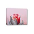 Picture of Mid Bloom _GroupedProduct_Rectangle_Landscape_Photography _GroupedProduct_Rectangle_Landscape_Canvas_