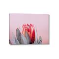 Picture of Mid Bloom _GroupedProduct_Rectangle_Landscape_Photography _GroupedProduct_Rectangle_Landscape_Canvas_