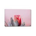 Picture of Mid Bloom _GroupedProduct_Rectangle_Landscape_Photography _GroupedProduct_Rectangle_Landscape_Canvas_