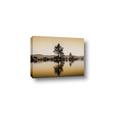 Picture of Mirrored Water _GroupedProduct_Rectangle_Landscape_Photography _GroupedProduct_Rectangle_Landscape_Canvas_