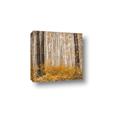 Picture of Mustard Forest _GroupedProduct_Square_Photography _GroupedProduct_Square_Canvas_